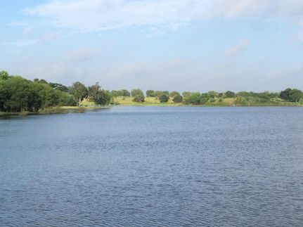 Farm Property in Jim Wells County, Texas