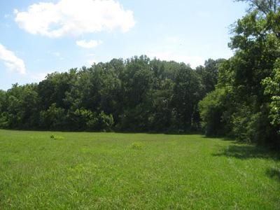 Ranch Property in Bartow County, Georgia