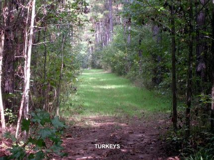 Ranch Property in Dallas County, Alabama