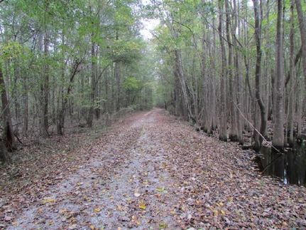 Ranch Property in Lee County, South Carolina