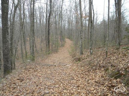 Ranch Property in Laurel County, Kentucky