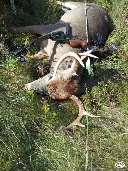 Ranch Property in Alcona County, Michigan