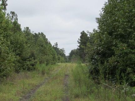 Property in Pender County, North Carolina
