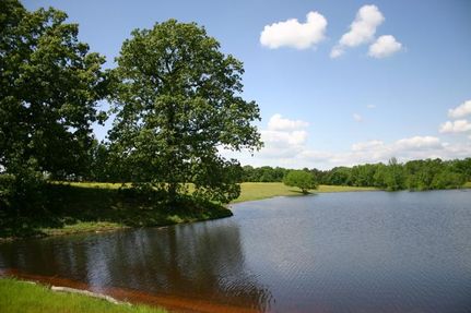 Farm Property in Morris County, Texas
