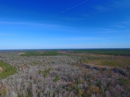 Hunting Land in Clinch County, Georgia