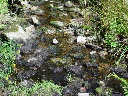 Ranch Property in Fulton County, New York