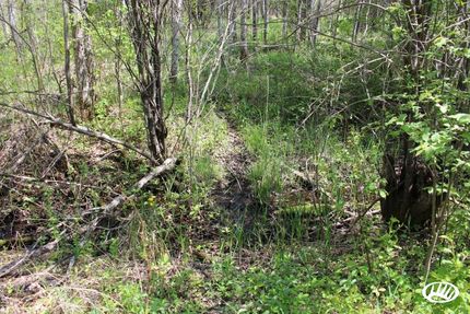 Ranch Property in Koochiching County, Minnesota