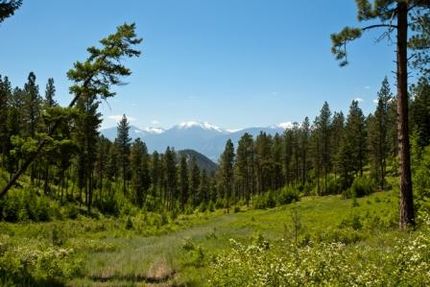 Property in Ravalli County, Montana