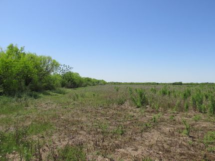 Ranch Property in Medina County, Texas