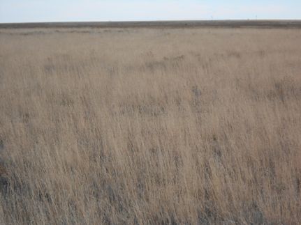 Property in Harding County, New Mexico