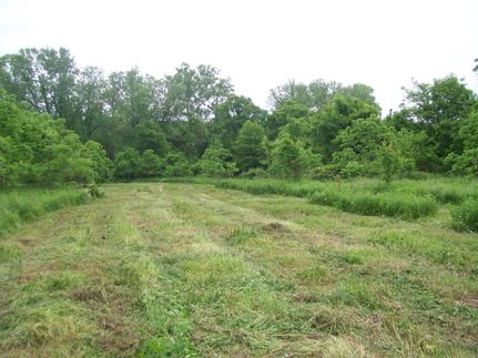 Riverfront Property in Mineral County, West Virginia