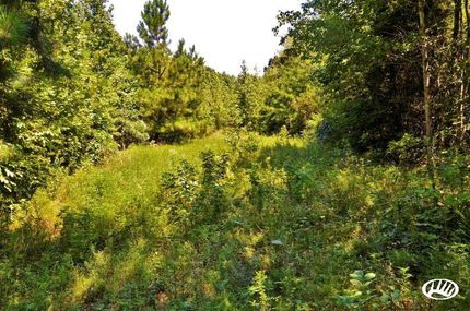 Property in Marshall County, Kentucky