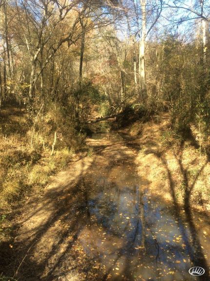 Ranch Property in Copiah County, Mississippi