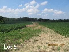 Ranch Property in Lewis County, Kentucky