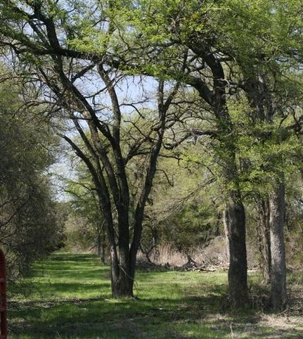 Ranch Property in Bosque County, Texas
