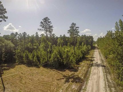 Property in Camden County, Georgia