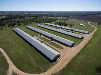 Property in Milam County, Texas