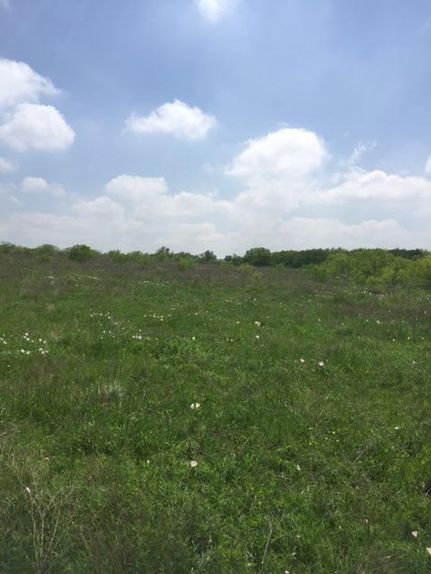 Farm Property in Falls County, Texas