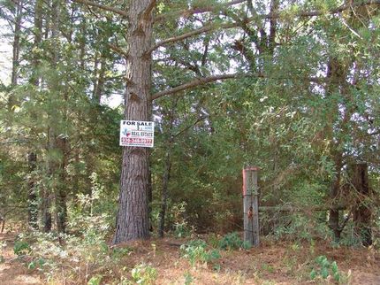 Farm Property in Madison County, Texas
