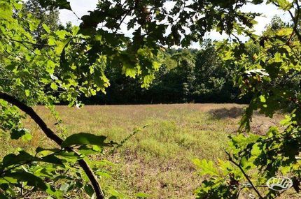 Property in Calloway County, Kentucky