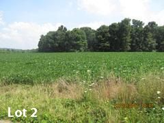 Property in Lewis County, Kentucky