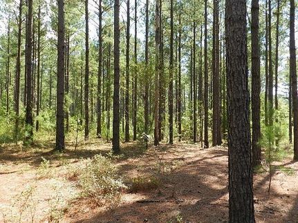 Property in Laurens County, Georgia