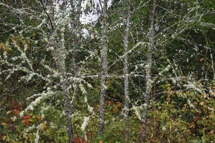 Ranch Property in Clark County, Washington