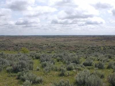 Farm Property in Wheeler County, Texas