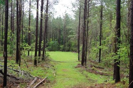Ranch Property in Simpson County, Mississippi