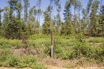 Farm Property in Jefferson County, Georgia