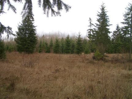Ranch Property in Thurston County, Washington