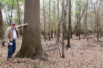 Recreational Property in Madison County, Alabama