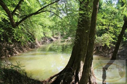 Timberland Property in Lawrence County, Mississippi