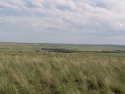 Farm Property in Wheatland County, Montana