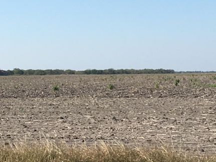 Ranch Property in Kleberg County, Texas