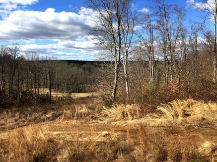 Hunting Land in Bedford County, Virginia