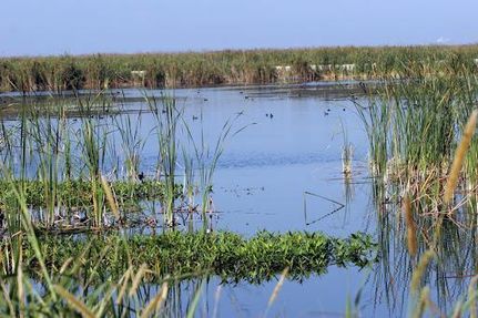 Waterfront Property in Palm Beach County, Florida
