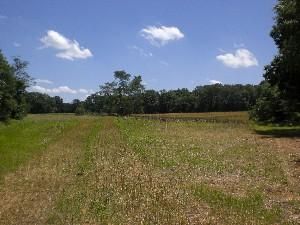 Farm Property in Washington County, Kentucky