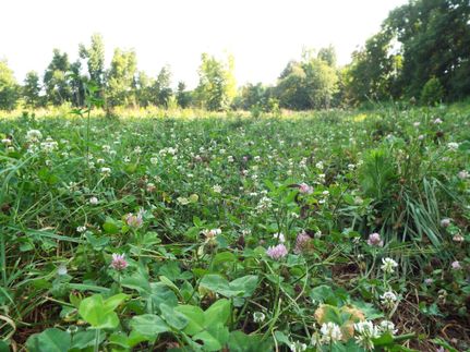 Property in Ballard County, Kentucky