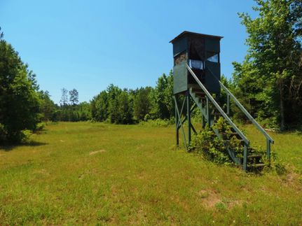 Undeveloped Land in Hancock County, Georgia