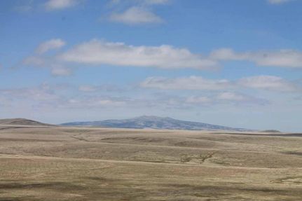 Undeveloped Land in Union County, New Mexico
