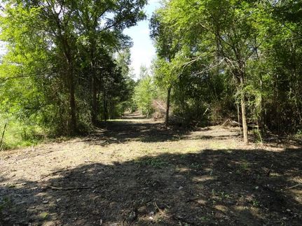 Undeveloped Land in Leon County, Texas