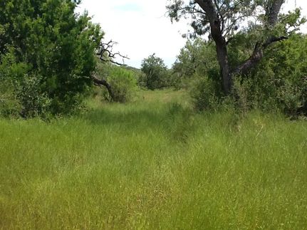 Hunting Land in Bee County, Texas