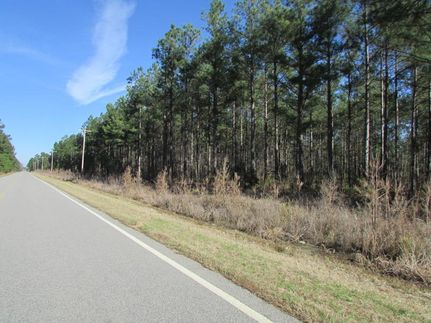 Farm Property in Clarendon County, South Carolina