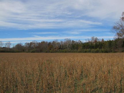 Ranch Property in Clermont County, Ohio