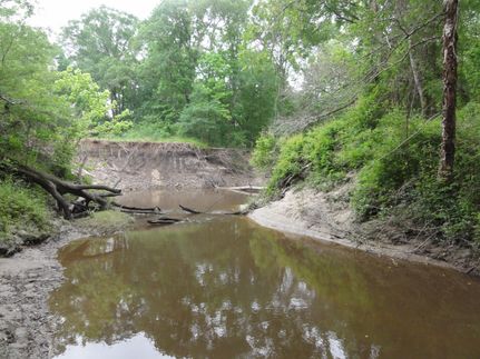 Commercial Property in Madison County, Texas