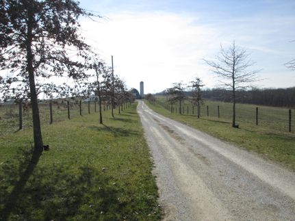 Property in Mason County, Kentucky