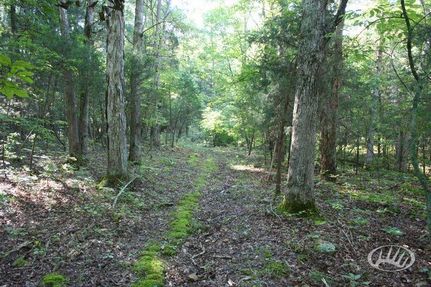 Property in Logan County, Kentucky