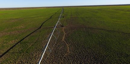 Farm Property in Zavala County, Texas
