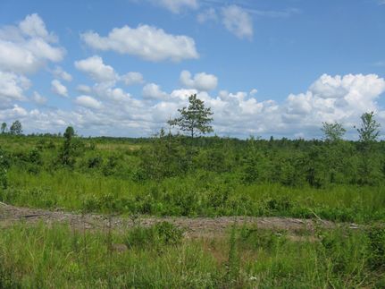 Farm Property in King and Queen County, Virginia